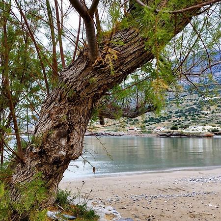 Tholos Alexandra'S Beachfront House Kavoúsion Dış mekan fotoğraf