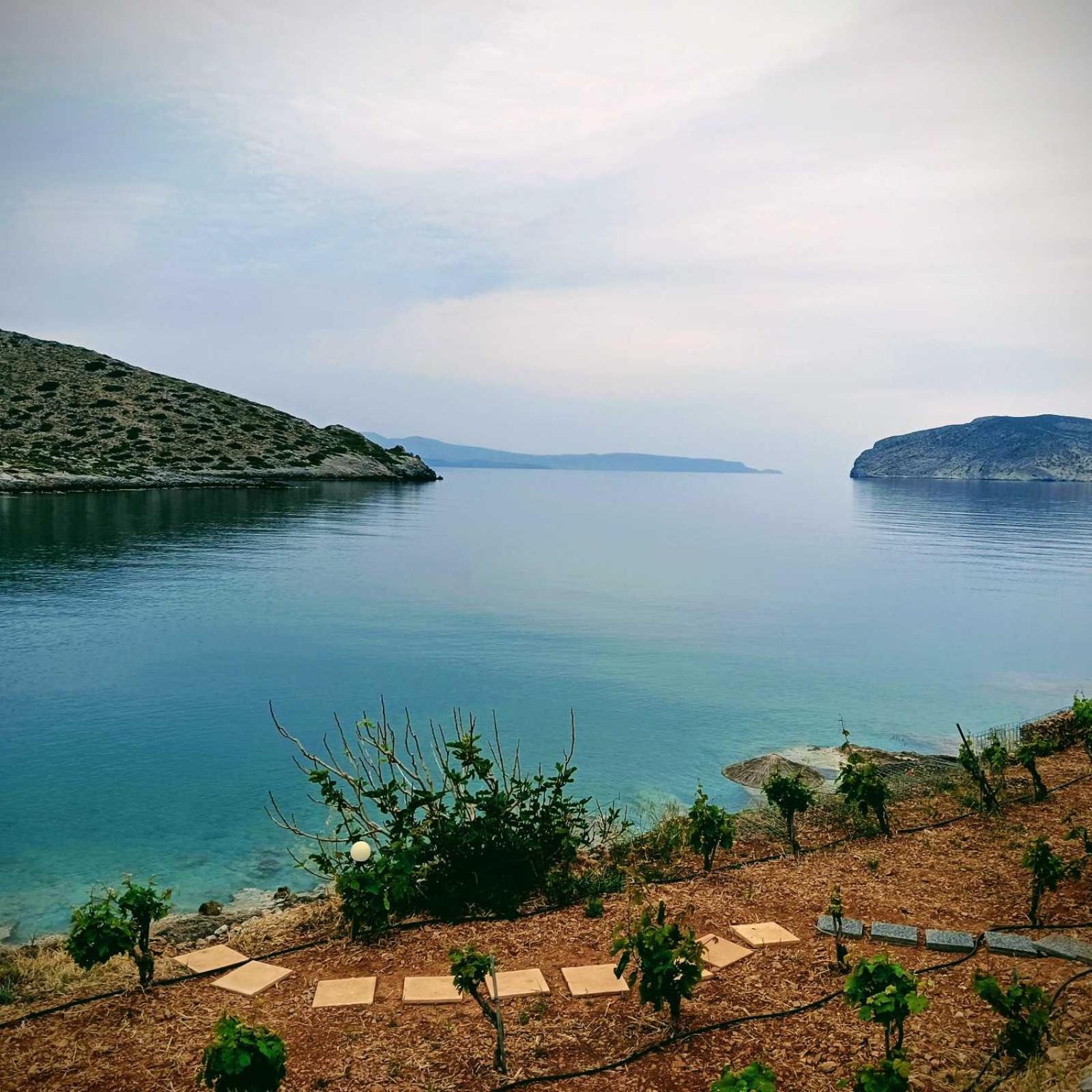 Tholos Alexandra'S Beachfront House Kavoúsion Dış mekan fotoğraf